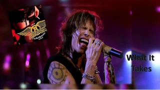 Aerosmith - What It Takes [Live 2002] RARE!