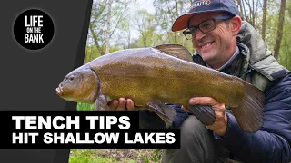 TENCH FISHING TIPS - Target Shallow Lakes