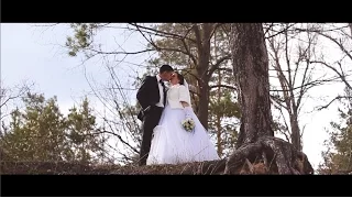Дмитрий и Анастасия | Свадебное видео