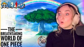 Wait, Should I watch One Piece?! (REACTION) The Breathtaking World of One Piece