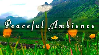 🌿🌞Begin Your Day with the POSITIVE ENERGY of Healing Spring Sounds🌿Fresh Morning Mountain Ambience#2