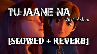 Tu Jaane Na [Slowed+Reverb]-Atif Aslam|Lover of Music|Textaudio