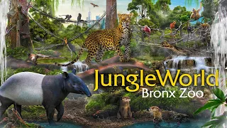 Zoo Tours: JungleWorld | Bronx Zoo