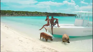 Swimming with the Pigs - Bahamas