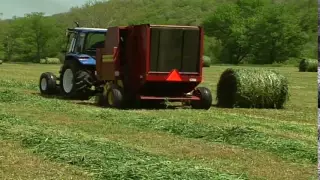 Round Bale Silage