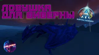 Ловушка для Виверны Ark: Survival Ascended