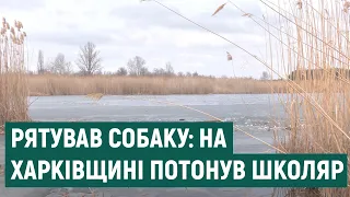 На Харківщині загинув школяр, який рятував собаку