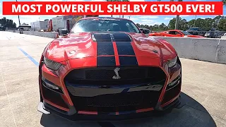 2022 Shelby GT500 First Impressions | The ULTIMATE Muscle Car!