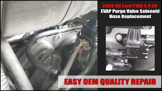 2004-08 Ford F150 5.4 3V - CHEAP + OEM QUALITY EVAP Purge Valve Solenoid Hose Replacement