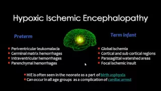 Imaging of pediatric Brain CVS I    DRE 8   Dr Mamdouh Mahfouz