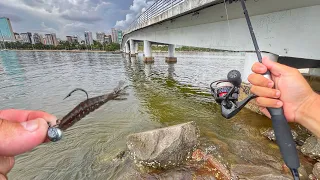 PESCA COM MICRO CAMARÃO NA BEIRA DA PRAIA, MUITO PEIXE NA LINHA!!!