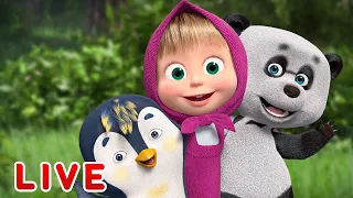 🔴 LIVE STREAM 🎬 Masha and the Bear 🐻👱‍♀️ Friends forever  💞🤗