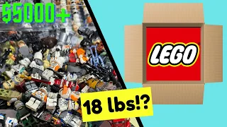 18lbs Of LEGO Star Wars Minifigs! Was It Worth $5000?!