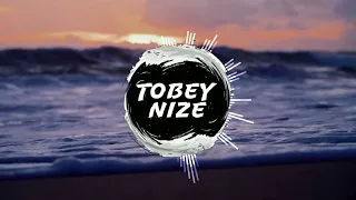 Alexander Eder - Liebeslieder (TOBEY NIZE REMIX)