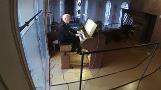 Irina Grafova (*1990):   "Walking tonight" - für Orgel übertragen von Mag. art. Michael Harry Poths