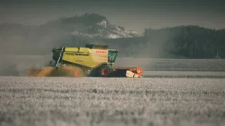 S KOMBAJNEM DO SVĚTA - ŽNĚ/ŽATVA/HARVEST/ARATAS 2019 (CLAAS LEXION 670)