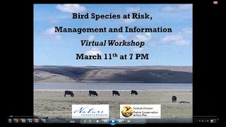 Bird Species at Risk, Management and Information Workshop