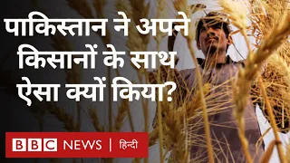 Pakistan में किसानों के साथ ऐसा सुलूक क्यों हो रहा है? (BBC Hindi)