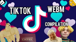 ПОДБОРКА МЕМОВ ИЗ ТИКТОК // TIKTOK WEBM COMPILATION 62