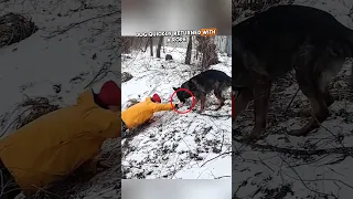 You won't believe what the dog did to save its owner! 😱