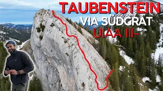spannender SÜDGRAT auf den TAUBENSTEIN mit Kletterstellen bis UIIA III- | Alpine Voralpen im Winter