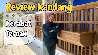 Kandang Kambing Yang Ideal dan Sehat | KERABAT TERNAK | KANDANG SNI