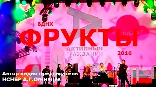 2016 - Активный гражданин. Политех. Москва. ВДНХ. Концерт. Группа Фрукты. 02.