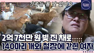 [FULL영상] 형부에게 2억 7천 만 원 빌리고 가족과 등진 채 개 140마리와 사는 여자