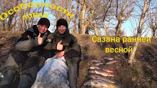 ЛОВЛЯ САЗАНА РАННЕЙ ВЕСНОЙ !!!!!