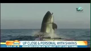 THE BIGGEST GREAT WHITE SHARK IN THE WORLD!!!!