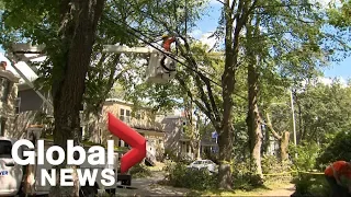 Hurricane Dorian: Extensive power outages in Atlantic Canada in the wake of storm