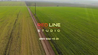 Шок! Пшеница озимая после подкормки карбамидом по листу!  Vasilii Farmer,  RED LINE