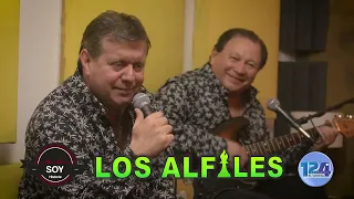 LOS ALFILES - POR UN AMOR LLORAR, LLORAR - SESSION LIVE 2023