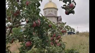 Проповідь Вознесіння 2020