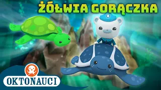 Oktonauci - 🐢 Żółwia gorączka 🎉 | Kompilacja | Całe odcinki