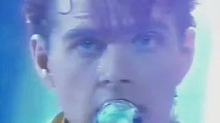 Thompson Twins - Hold Me Now   1984  Live In Stereo