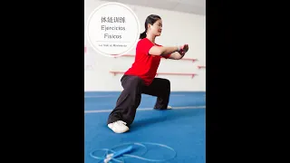 Wushu kung Fu 263 Rutina de Ejercicios Fisicos 1 体能一