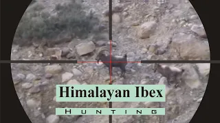 Himalayan Ibex Hunting | Passu Cones | Gilgit Baltistan | Giant Ibex | 01