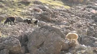 Expedition Pamir 2011