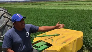 Segadora de Alfalfa para Tractor