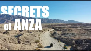 Exploring the hidden wonders of the desert in Anza Borrego State Park!