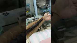 Giant centipede crawls along man's arm