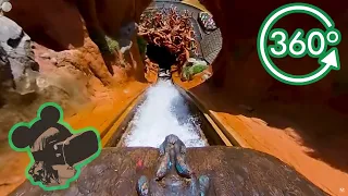 360º Ride on Splash Mountain at Magic Kingdom