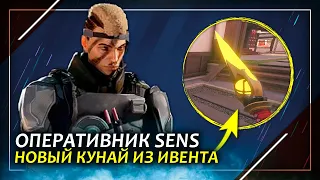 Новый оперативник Sens | Вырезанное из игры оружие | Rainbow Six Siege