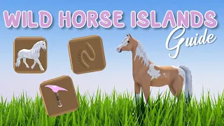 BEGINNERS GUIDE TO WILD HORSE ISLANDS | Pinehaven