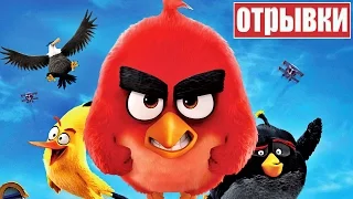 Angry Birds в Кино [2016] Отрывки Мультфильма