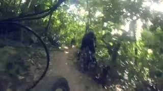 Bukit Timah Mountain Bike Trail (Full BT Loop July 2015)