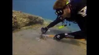 Killing and bagging a Lion Fish