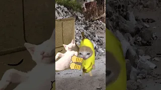 The Story of Banana Cat😹🍌#22｜Sick cat💊 #shorts