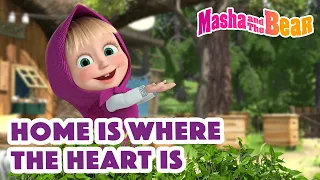 Masha and the Bear 2022 🏡💗 Home is where the heart is 🏡💗 Best episodes cartoon collection 🎬